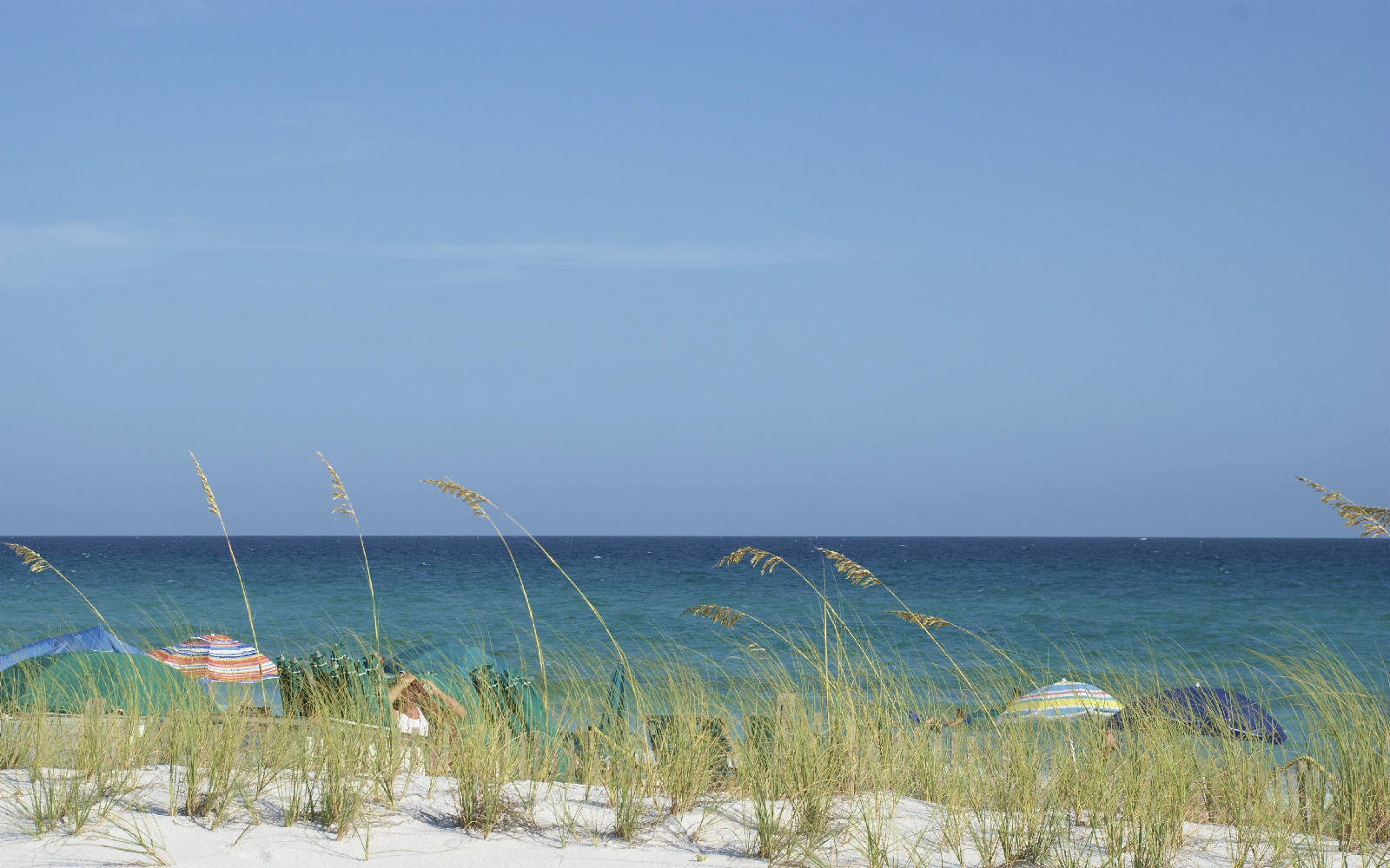 Pet Friendly Vacation Als In Destin